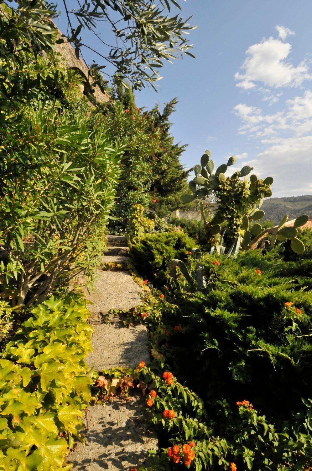 Hotel Mediterranee Collioure Bagian luar foto